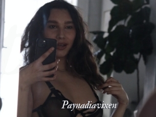 Paynadiavixen