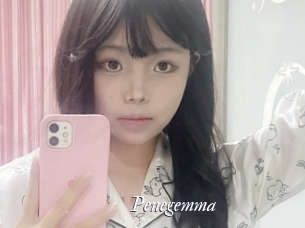 Penegemma
