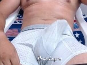 Penesi24cm