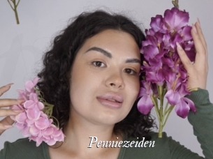 Penniezeiden