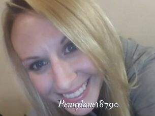 Pennylane18790