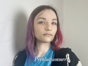 Petulacrammer