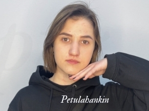 Petulahankin