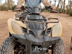 Pewnis