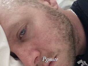 Pgmate