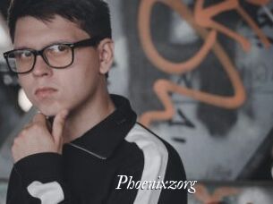Phoenixzorg
