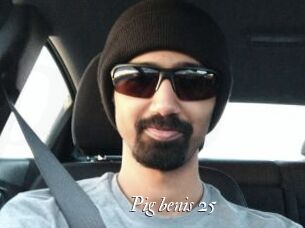 pig_benis_25 Partouze