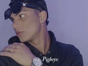 Pigboyx