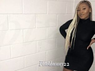 Pinkbunny22