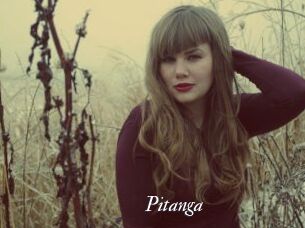 Pitanga