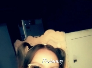 Pixbunny