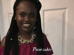 Pixie_cakes