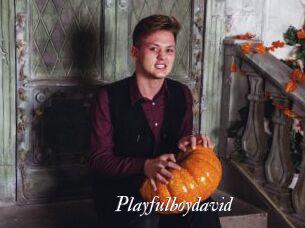 Playfulboydavid