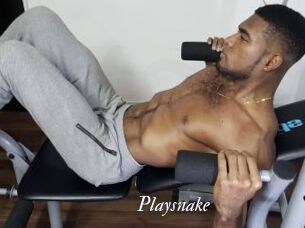 Playsnake