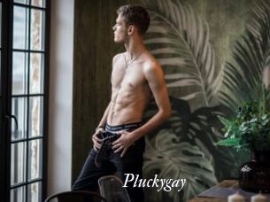 pluckygay Partouze