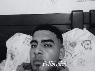 pollbigdick Partouze