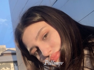 Pollimyr