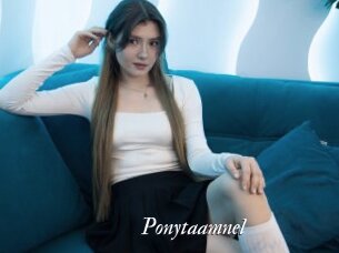 Ponytaamnel