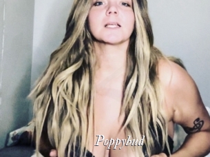 Poppybud