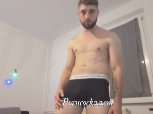 Porncock22cm