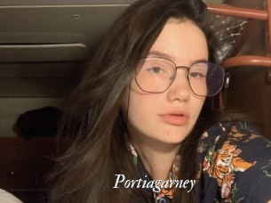Portiagarney