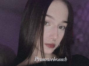 Primrosebranch