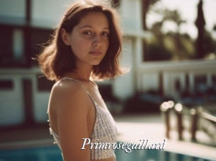 Primrosegaillard
