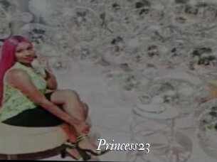 Princess23
