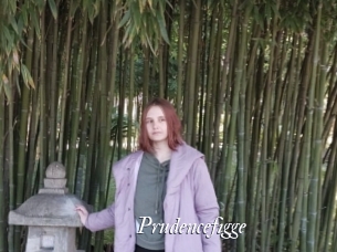 Prudencefigge