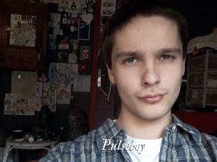 pulseboy Partouze