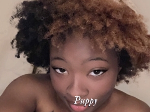 Puppy