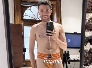 Pupstud