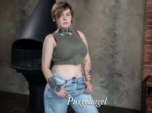 Purgeangel