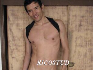 RICOSTUD Partouze