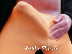 ROBIN_FINCH