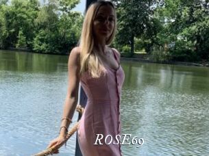 ROSE69