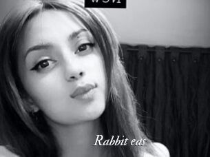 Rabbit_eas