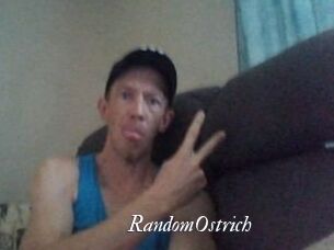 RandomOstrich Partouze