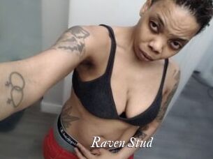 Raven_Stud
