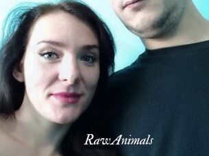 RawAnimals