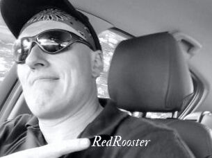 RedRooster