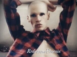 RedivivusPhoenix