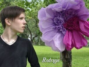 Rodrigie