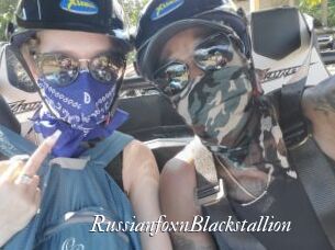 RussianfoxnBlackstallion