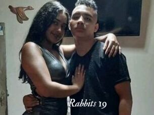 Rabbits_19