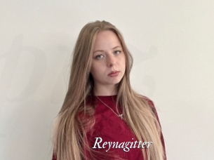Reynagitter