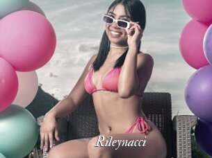 Rileynacci