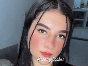 Rosebigboobss
