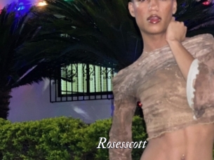 rosesscott Partouze