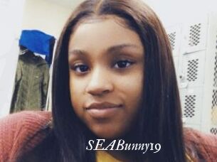SEABunny19